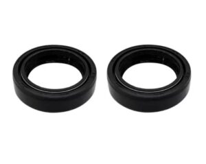 Par Retentor da Bengala Chopper 150/ Intruder 125 Original