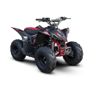 Mini Quadriciclo Rhino 110cc Preto Fun Motors - Infantil de 6 a 12 anos