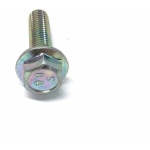 Parafuso Caliper Suzuki Intruder 125 Original