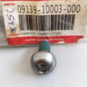 Parafuso Quadro Chassi Boulevard 800 1500 1800 V-strom 1000 Original Suzuki