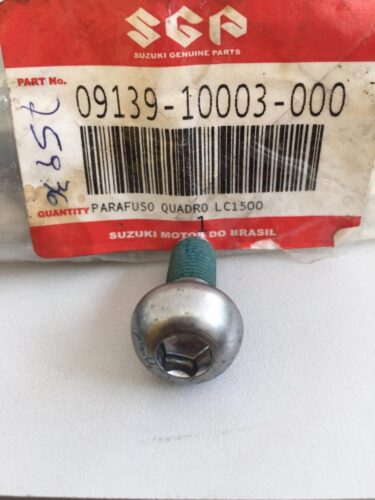 Parafuso Quadro Chassi Boulevard 800 1500 1800 V-strom 1000 Original Suzuki