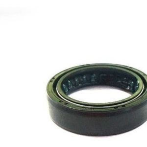 Retentor de Oleo PPV Lindy125 Original Haojue
