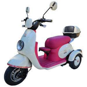 Triciclo Elétrico A3t Sudu 800w Econômica Sem Precisar Cnh