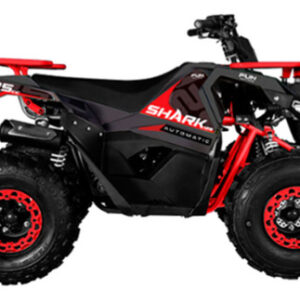 Quadriciclo Infantil 4x2 Shark 125cc Automático Fun Motors