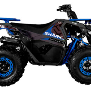Quadriciclo Infantil 4x2 Shark 125cc Automático Fun Motors