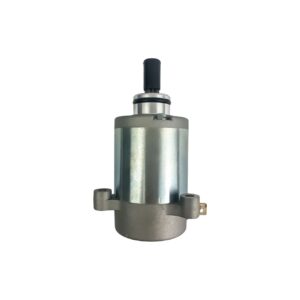 Motor De Partida Completo Suzuki Burgman 125 2011 Á 2019 Original