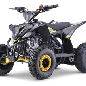 Mini Quadriciclo Trilha Avalanche 90cc 4 Tempos Fun Motors