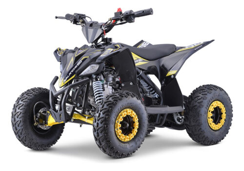Mini Quadriciclo Trilha Avalanche 90cc 4 Tempos Fun Motors