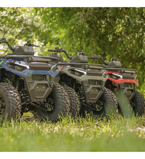 Quadriciclo Dakar250 Cinza 4x2 Funmotors Força E Praticidade