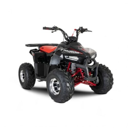 Punho Start/stop Taurus 110