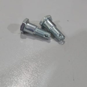 Parafuso Dianteiro do Suporte de Freio GS125/GN250 Original