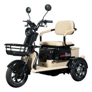 Moto Chefe Triciclos Elétricos Big Tri 1000w Sem Cnh