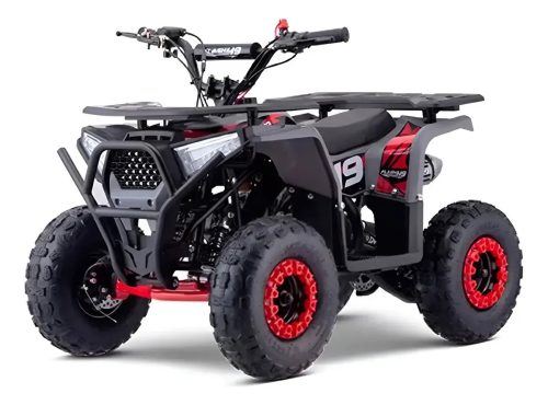 Mini Quadriciclo Infantil Fun Motors Flash 49cc 2t