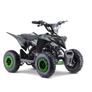 Mini Quadriciclo Infantil Ligeirinho 49cc Fun Motors