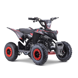 Mini Quadriciclo Infantil Ligeirinho 49cc Fun Motors