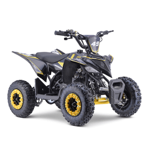 Mini Quadriciclo Infantil Ligeirinho 49cc Fun Motors