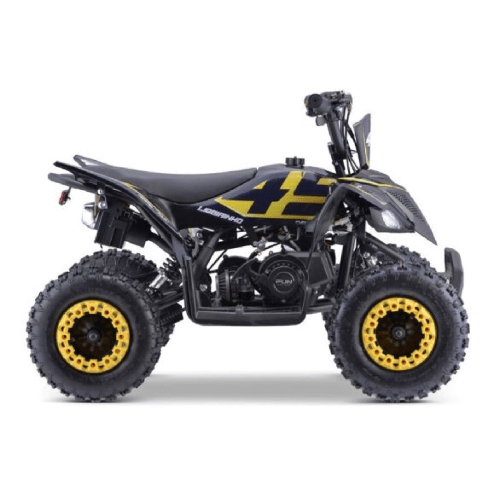 Mini Quadriciclo Infantil Ligeirinho 49cc Fun Motors