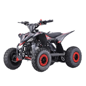Mini Quadriciclo Avalanche 90cc Vermelho Fun Motors - Infantil 5 a 8 anos